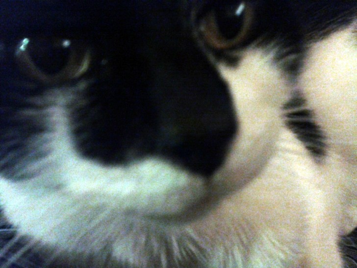 2013-11-17 19.17.30_20131117193313752