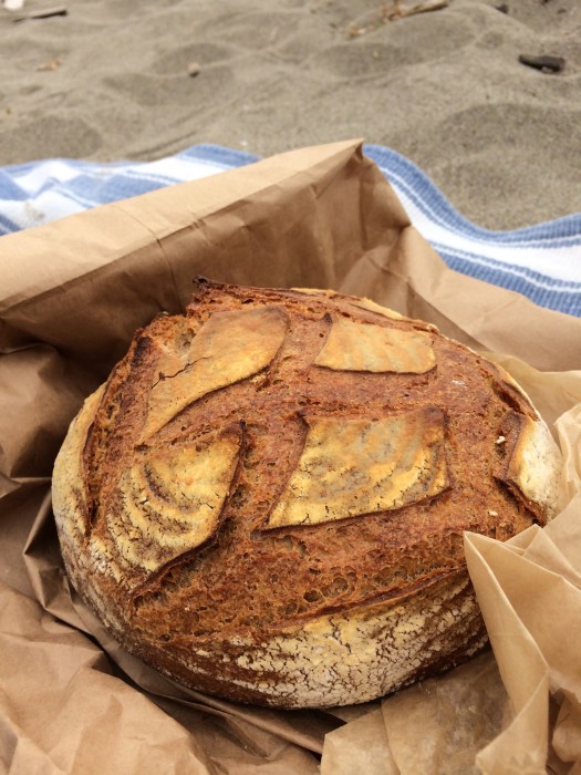 bread at the beach with the boy… what more do you want?