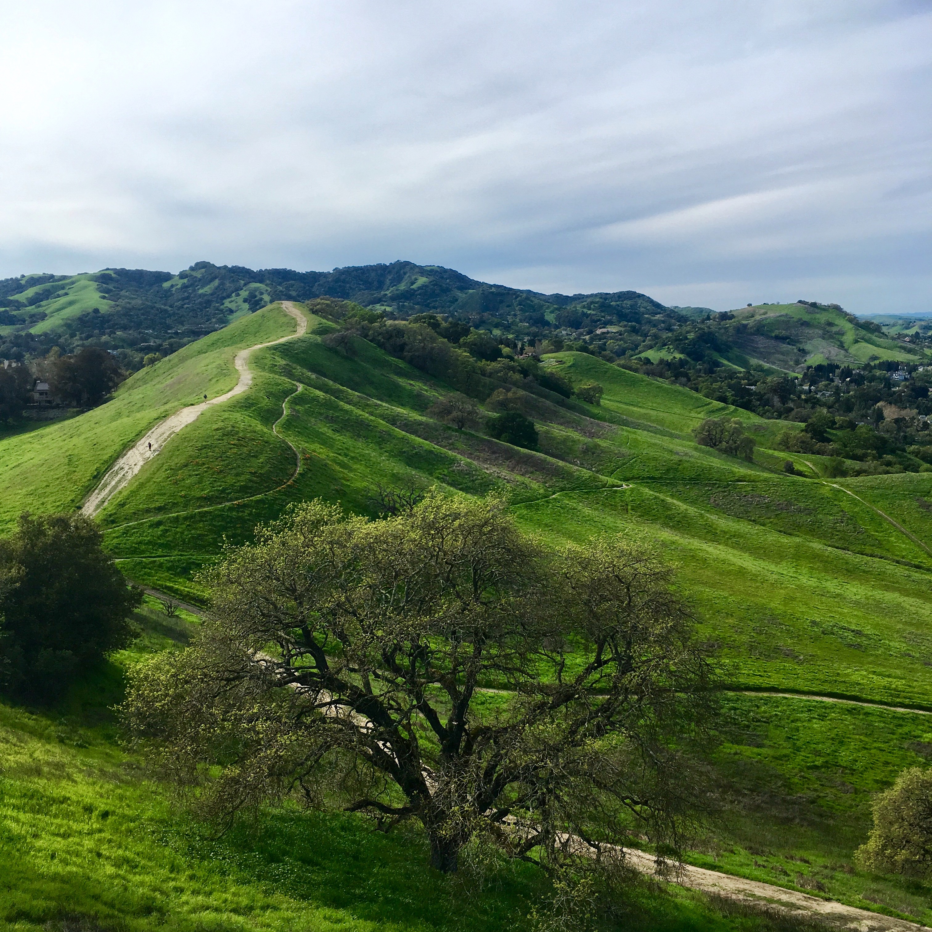 3D00E233-3005-46F1-97F8-074B2408C10F