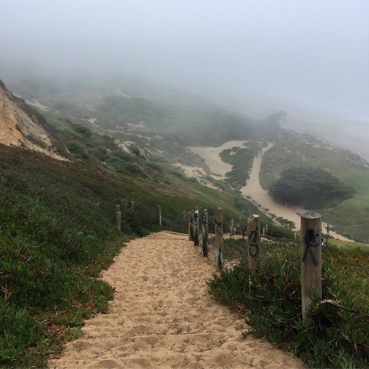 E6053538-7327-4A62-B9E6-8450A5FE804B