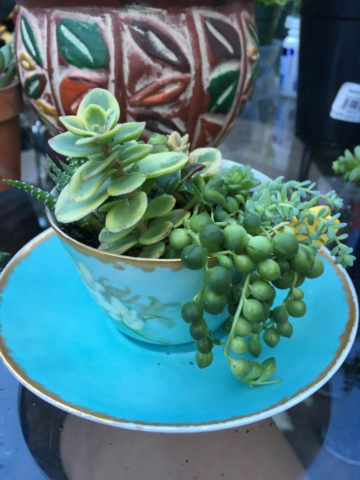 385DE50F-43D5-444F-B5FB-0842629E801C