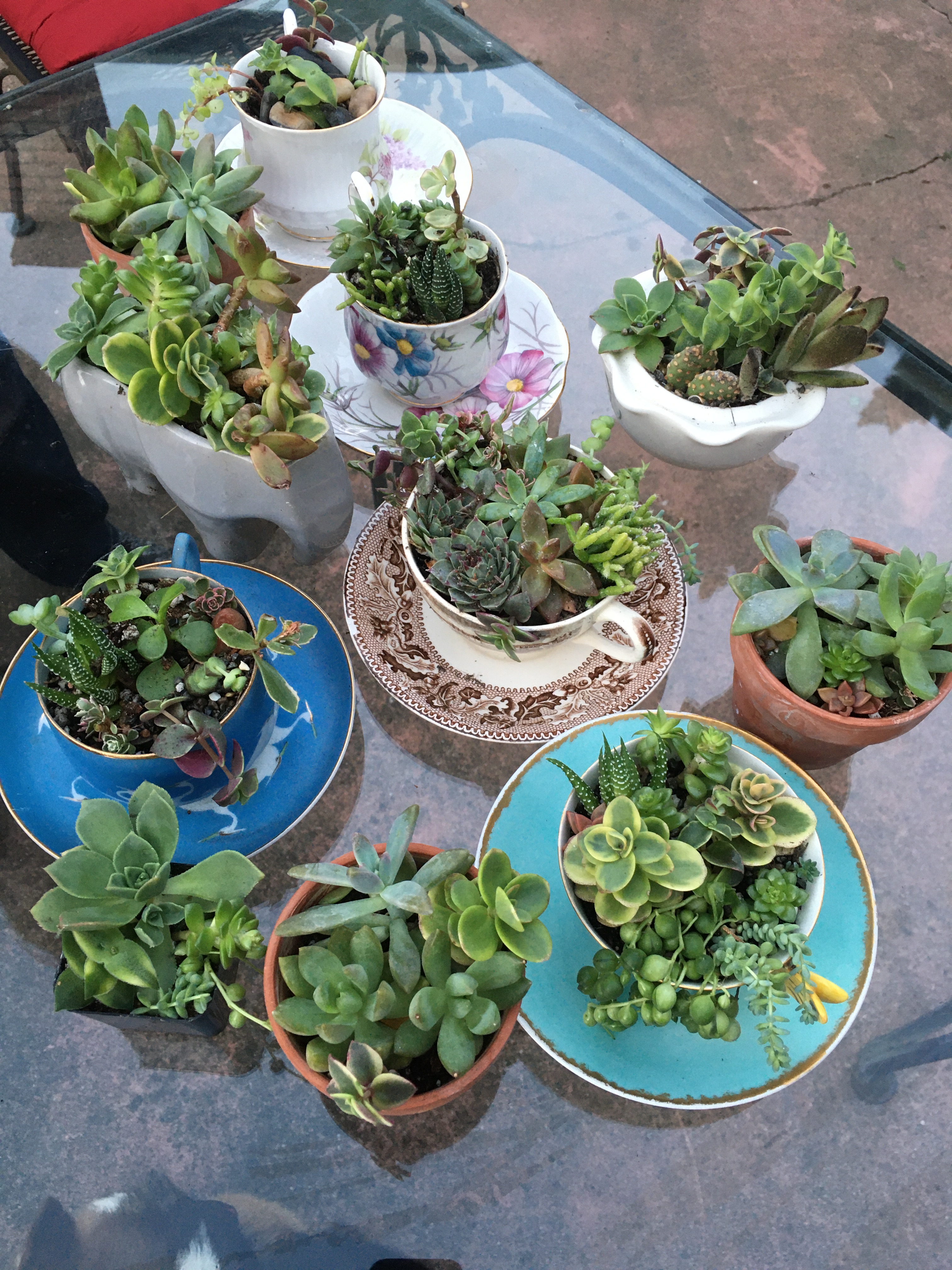 67855E27-B902-4BB4-BC4A-A43333832DD7