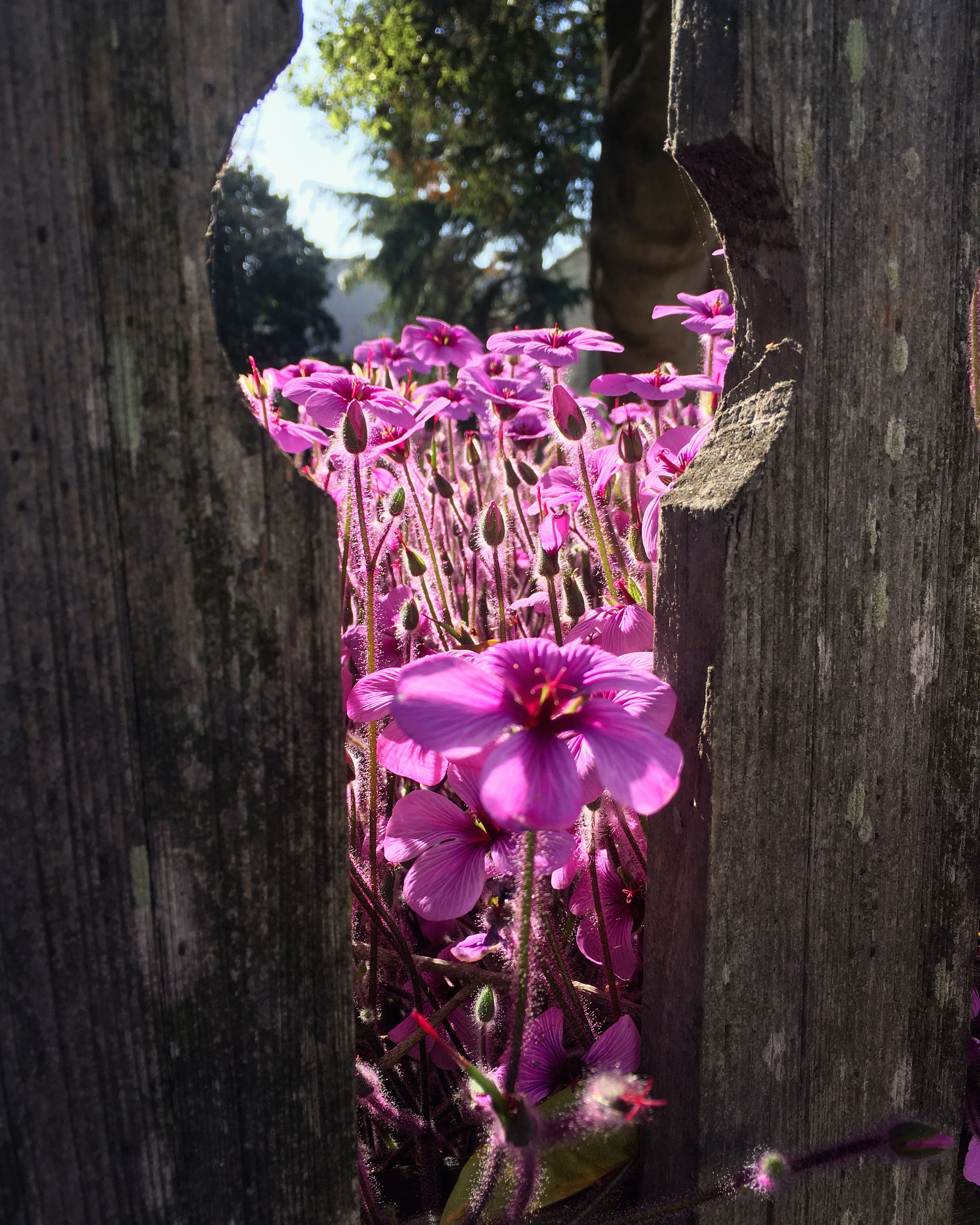 4d4f99bd-9181-47ad-b603-f5369116281f