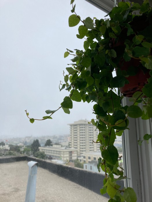 60987023570__d3e3b700-683c-470f-b0e5-256fe04dec82