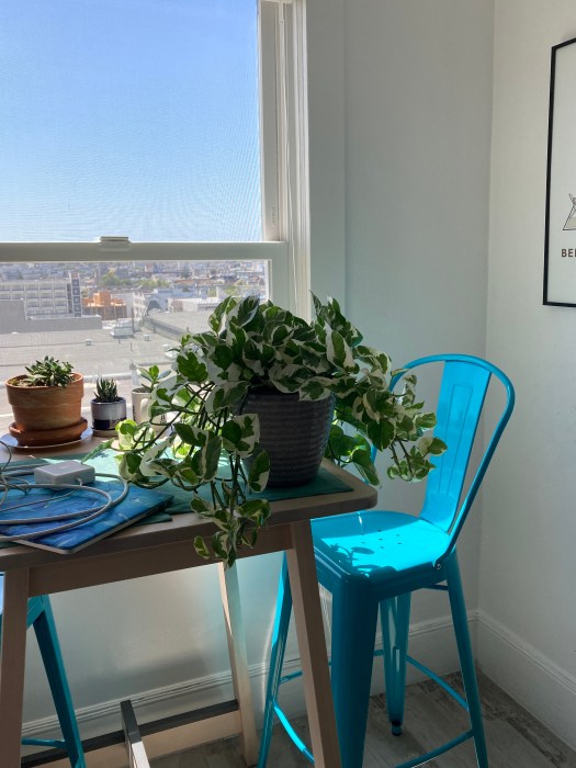 61006312846__e812aa09-8133-467c-8729-0259e6945cc2